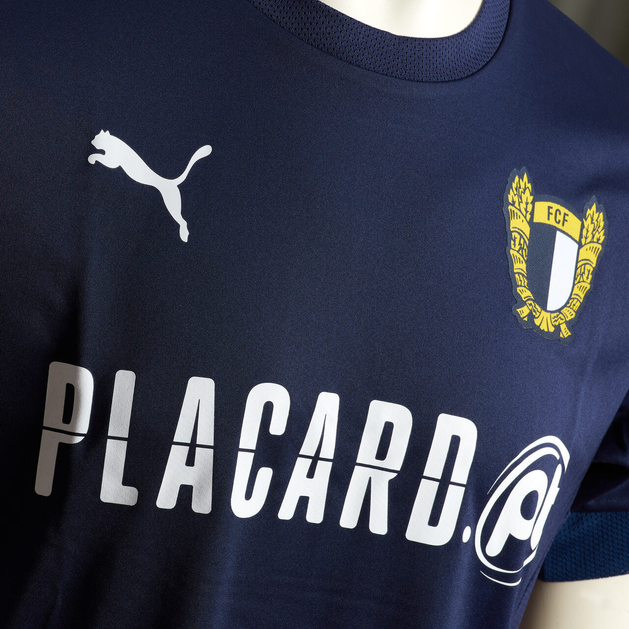 T-shirt Treino Jogador 24/25