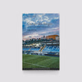 Livro Campo dos Bargos