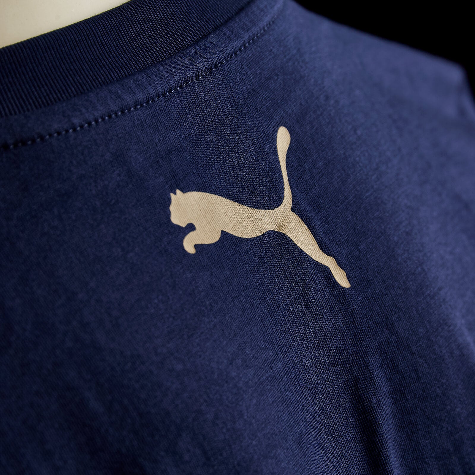 T-shirt Puma Linha Adepto 25/26